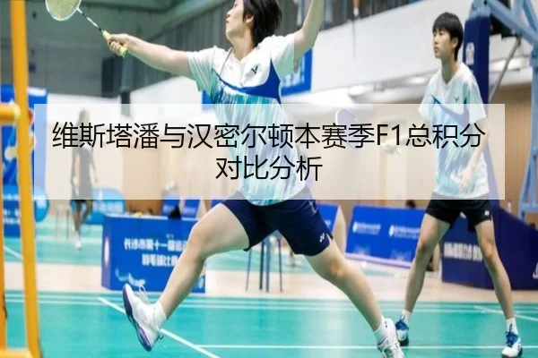 维斯塔潘与汉密尔顿本赛季F1总积分对比分析